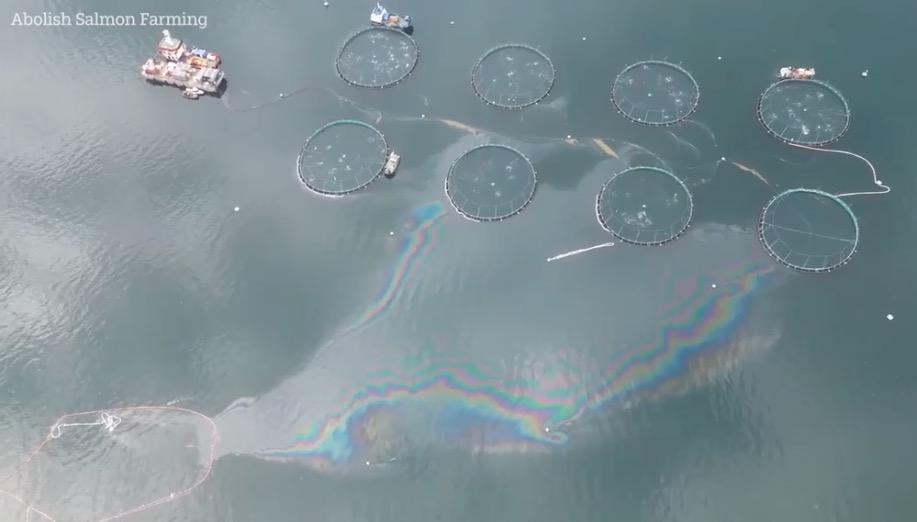 After getting M&amp;S to commit to not stocking salmon from Fiunary in the Sound of Mull. 

We now need your help, can you please RT if you want <a href="/waitrose/">Waitrose & Partners</a>, <a href="/sainsburys/">Sainsbury's</a>, <a href="/Morrisons/">Morrisons</a>, <a href="/LidlGB/">@LidlGB</a>, <a href="/AldiUK/">Aldi Stores UK</a>, <a href="/Tesco/">Tesco</a>, <a href="/asda/">Asda</a> 
to make a public statement on if they will sell diesel soaked fish