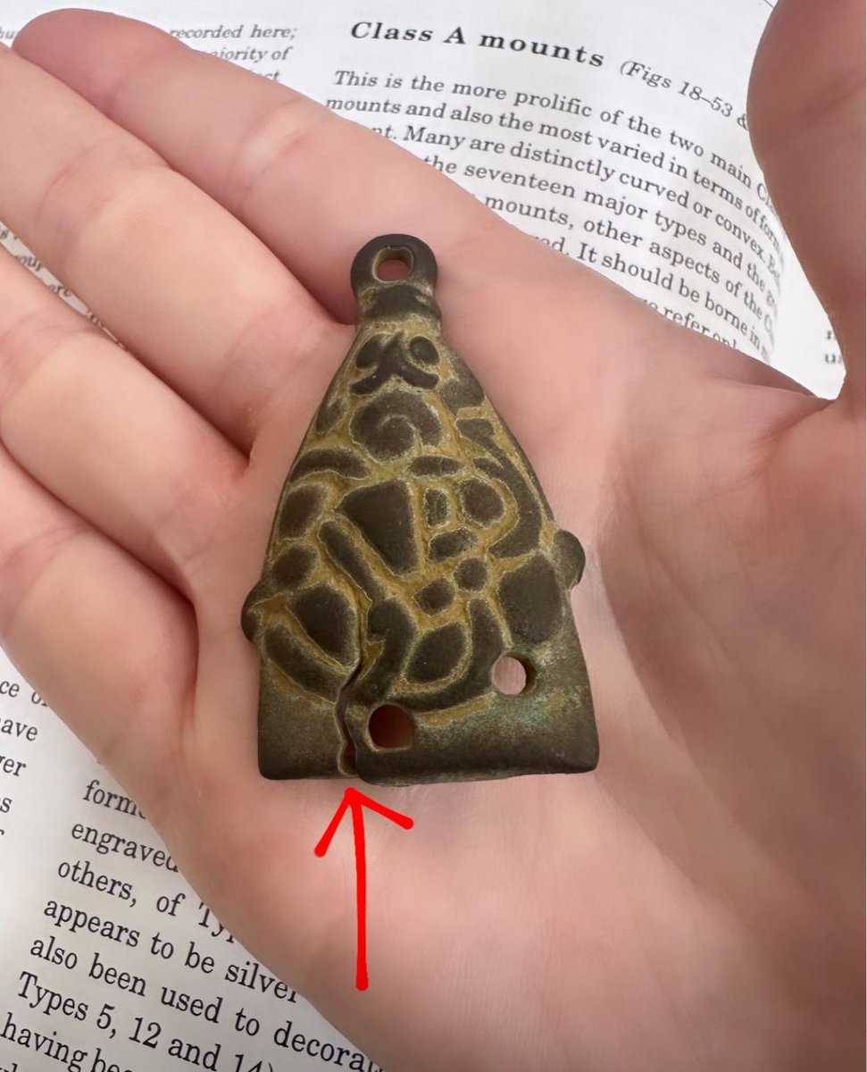 Dr! Adelle Bricking tweet media