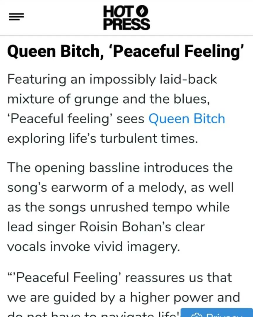 Queen Bitch tweet media