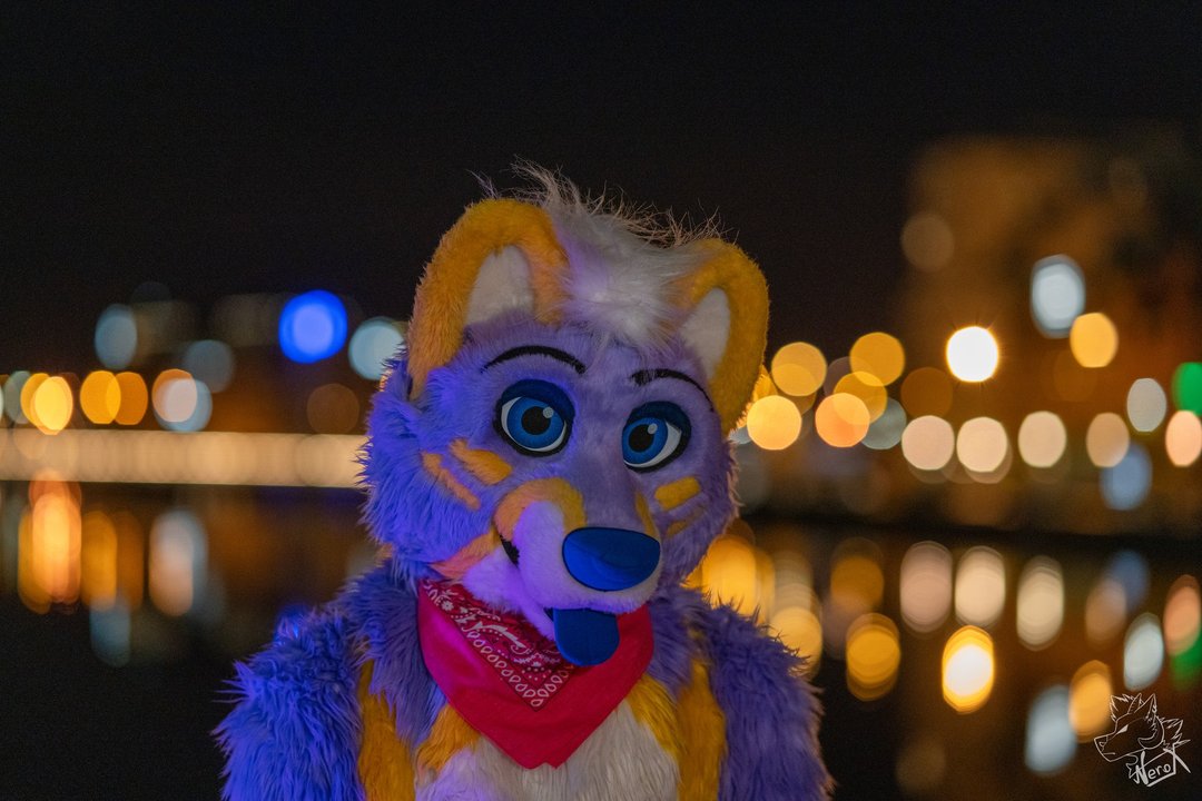 OskarJST's tweet image. I love exploring cities at night, wonder who would join me for a midnight walk ^^

#FursuitFriday

📸 Thank you @fur_nerox for this photo :)
