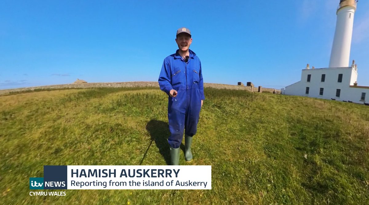 Hamish Auskerry tweet media
