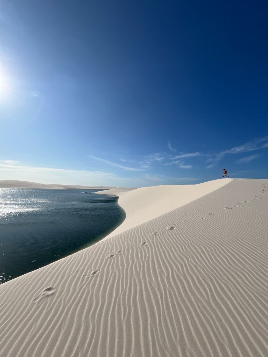 João P R Capobianco tweet media