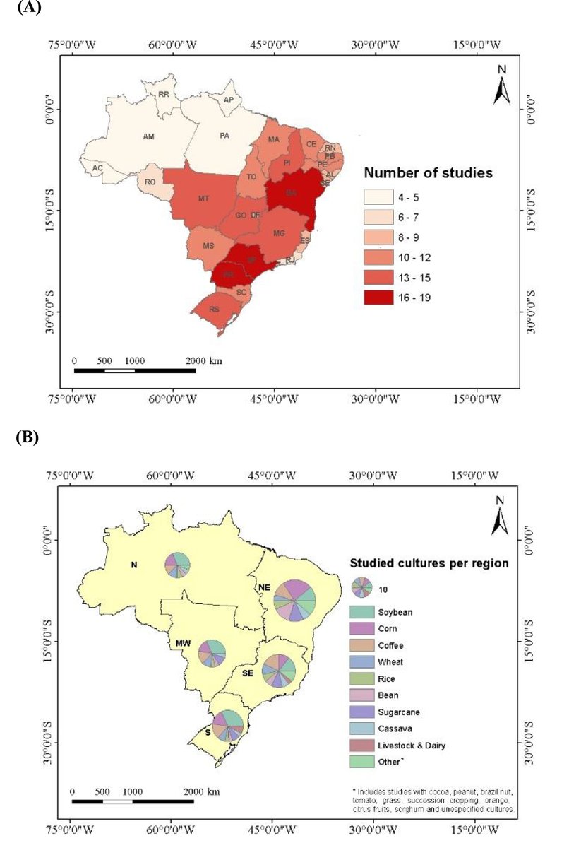 IOPlatinamerica tweet media