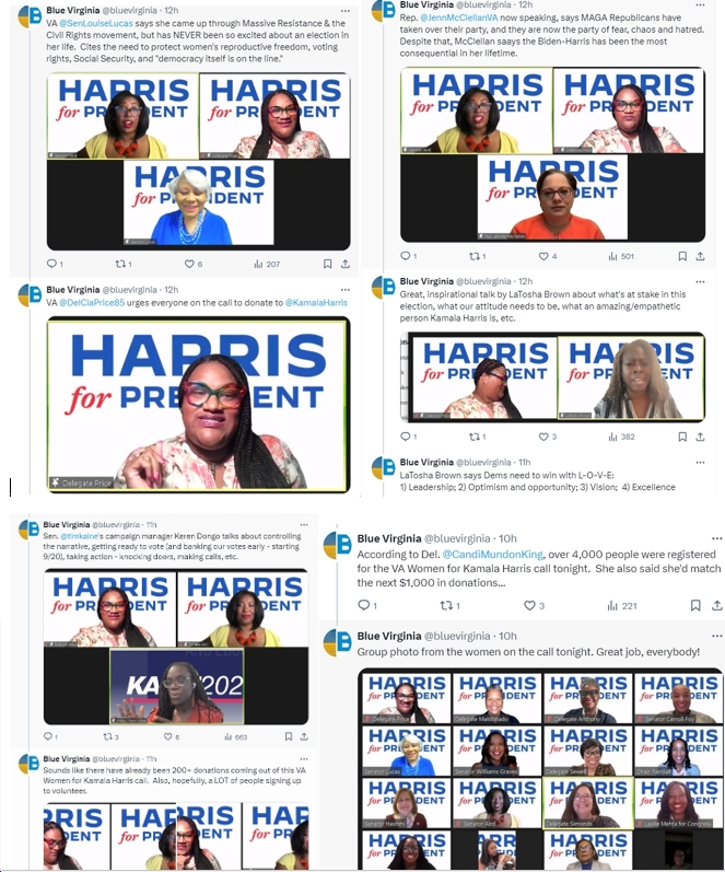 Highlights, Photos From Last Night’s Amazing VA Women for Kamala Harris Zoom Organizing Call Attended by Thousands bluevirginia.us/2024/07/highli…