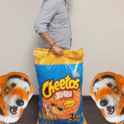 Cheeto tweet media