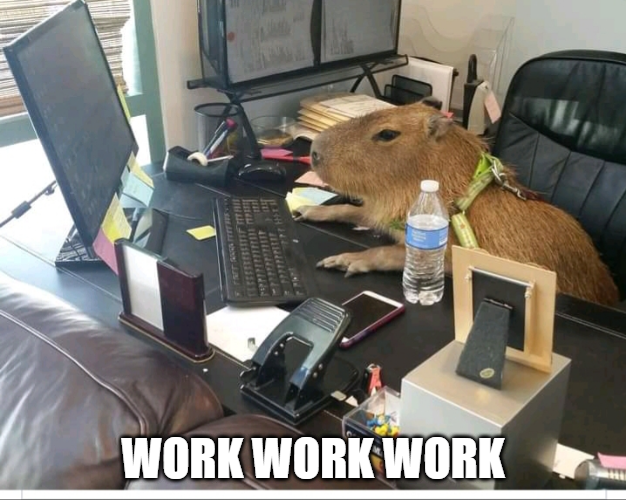 POV: You as a capybara who work to buy more $COPPY