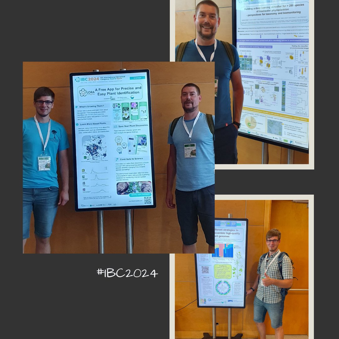 FIora Incognita International tweet media