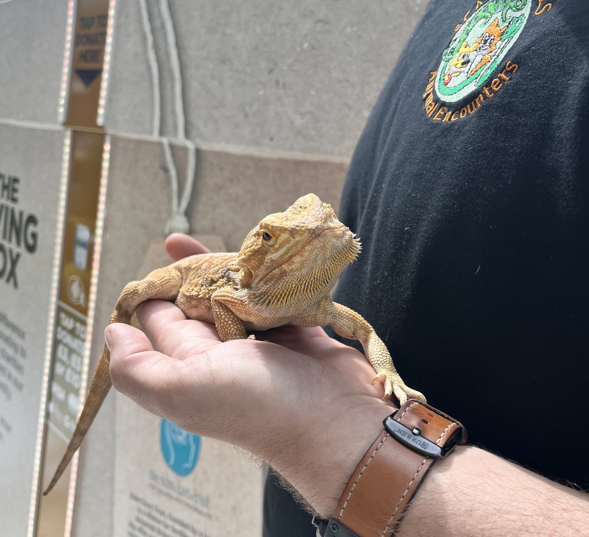 Meadowhall (@lovemeadowhall) on Twitter photo Join <a href="/EdenDoraTrust/">Eden Dora Trust for Children with Encephalitis</a> at the Scales & Tails event today at Meadowhall🐍
📍The Upper Arcade, near M&S Join <a href="/EdenDoraTrust/">Eden Dora Trust for Children with Encephalitis</a> at the Scales & Tails event today at Meadowhall🐍
📍The Upper Arcade, near M&S