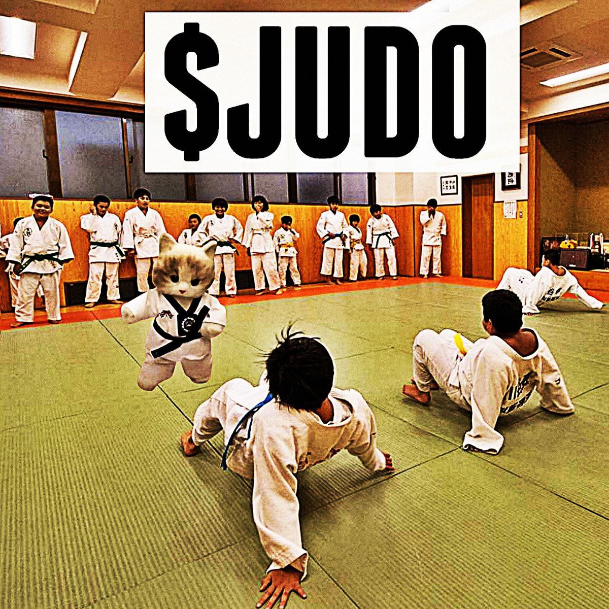 DSAI05's tweet photo. $JUDO is the next whale 

120x to catch up!

Tightly held, $JUDO

#JUDO @JUDOCATSOLANA
@MrDoniiBalonii
CA: 7y7ZoKgfhyJvLRgmpLp6zC9Lp38kghsSCA1q7MLJpump https://t.co/x8c49H6YQu