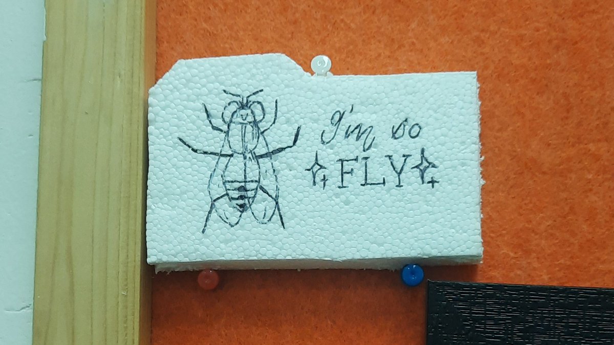 sudiptatung's tweet photo. Signs that the next generation of students are here. 
#igel #flylab @AshokaUniv https://t.co/uzCkznyEuW