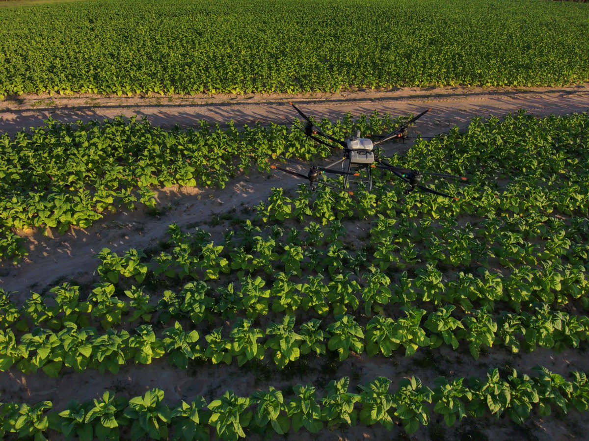 Precision Aerial tweet media