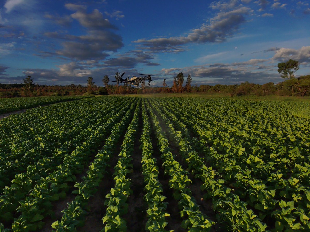 Precision Aerial tweet media