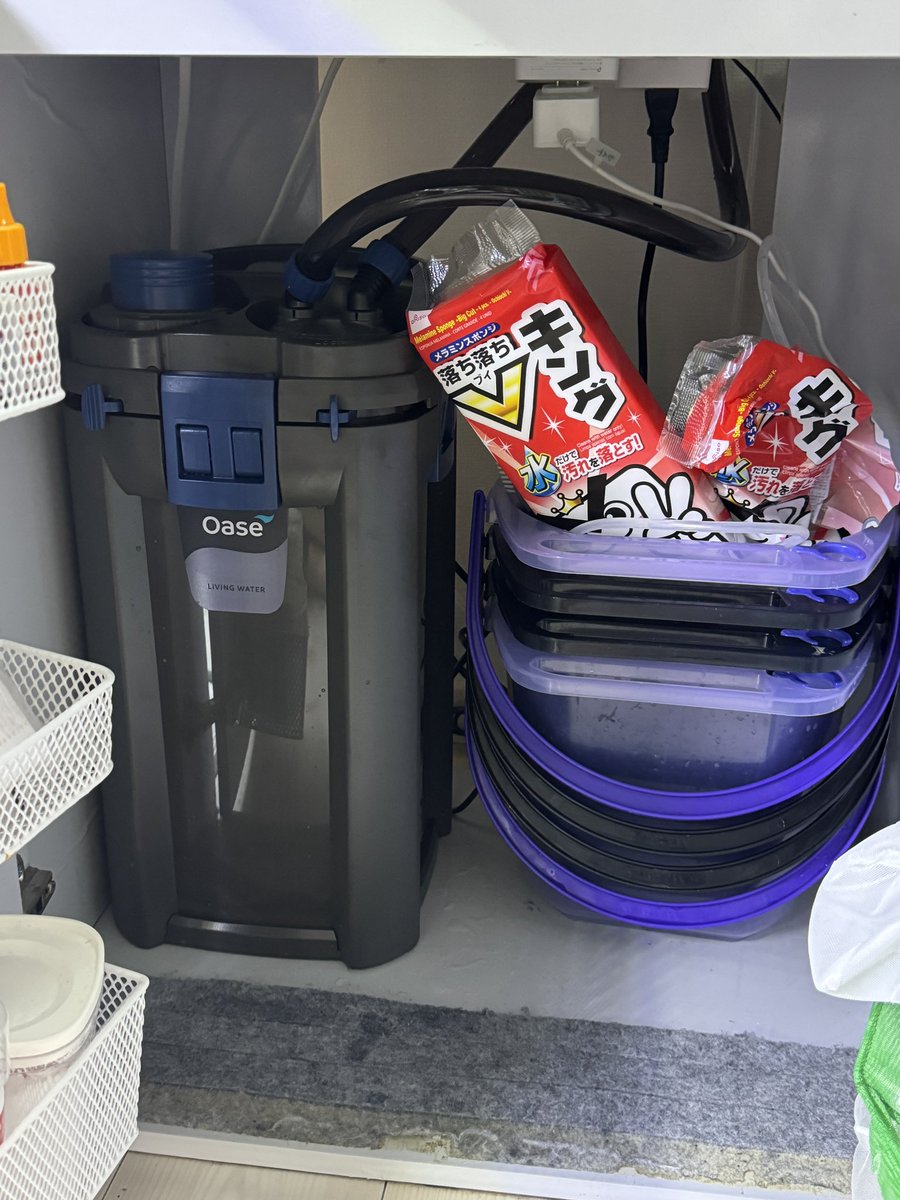 zebch0108's tweet image. ピッタリ！
モーター音メチャクチャ静かなのにパワーあるわぁ。
堅牢感がとても良い。使ってみないとわからないこの安定感。

#オアゼの快適アクアリウム
#oase