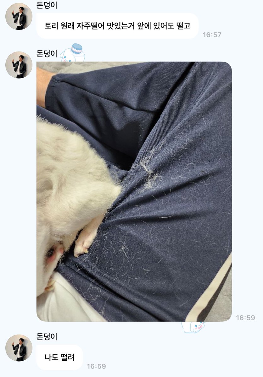 🐶 토리 원래 자주떨어 맛있는거 앞에 있어도 떨고
🐶 (토리 털 뿜뿜 사진)
🐶 나도 떨려

이러고 사라진 게 진짜 댕웃낌 ㅠㅠㅠㅜ