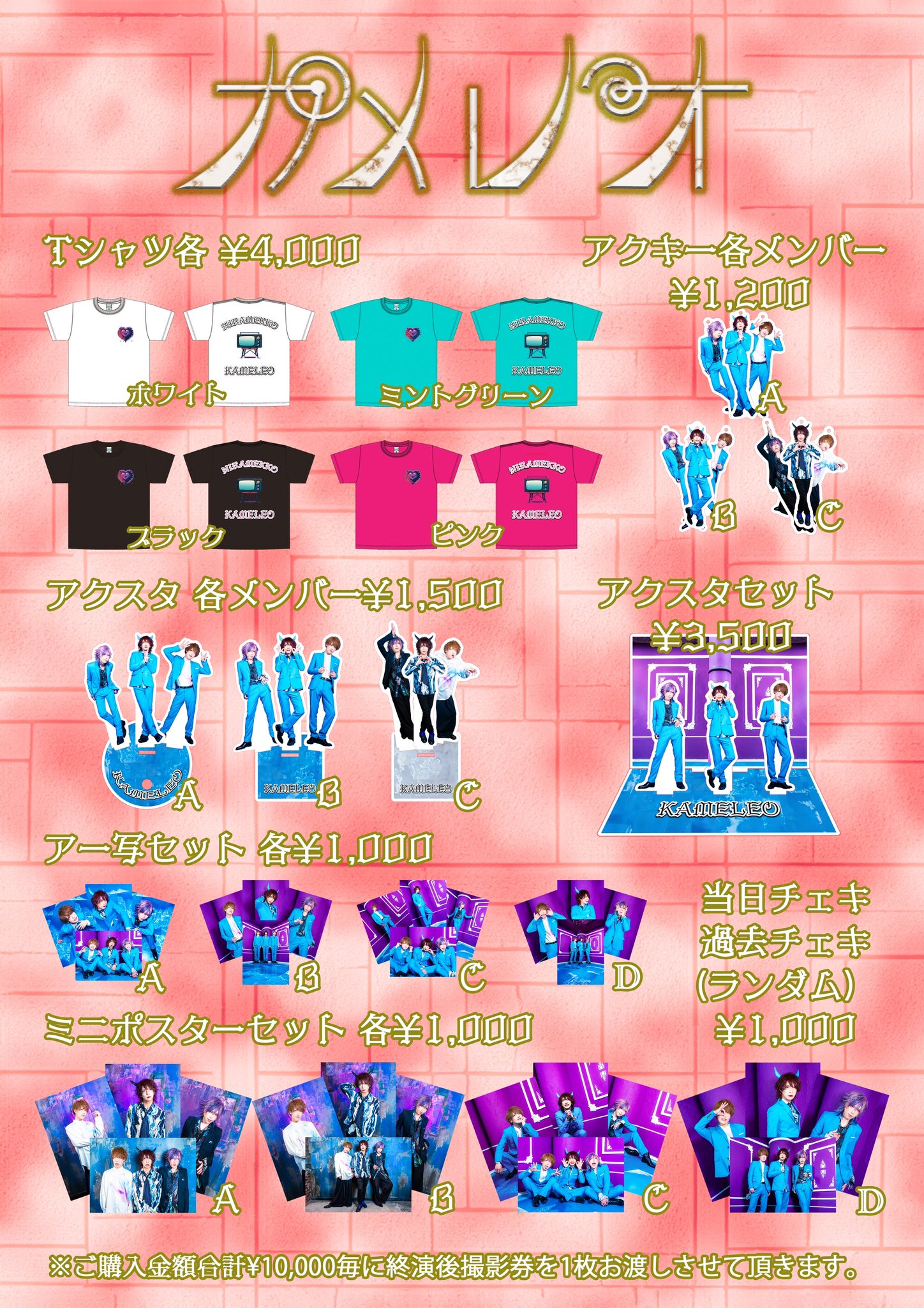 カメレオグッズ まとめ売り カメレオグッズ 【公式通販】