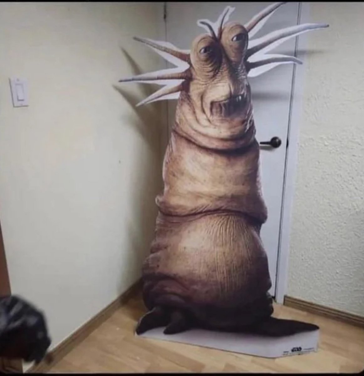 IvarThorSig's tweet photo. Nýja sendingin frá Temu var að koma :) https://t.co/N3514yT0LP