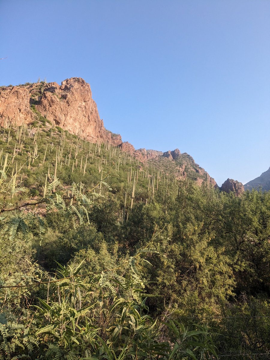 Eleanor Dickson-Murray tweet media