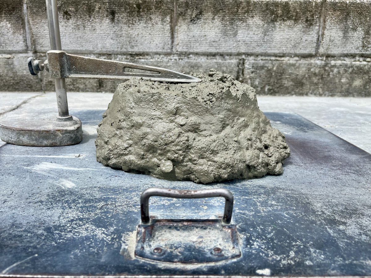 生コン女子部(新米) tweet media