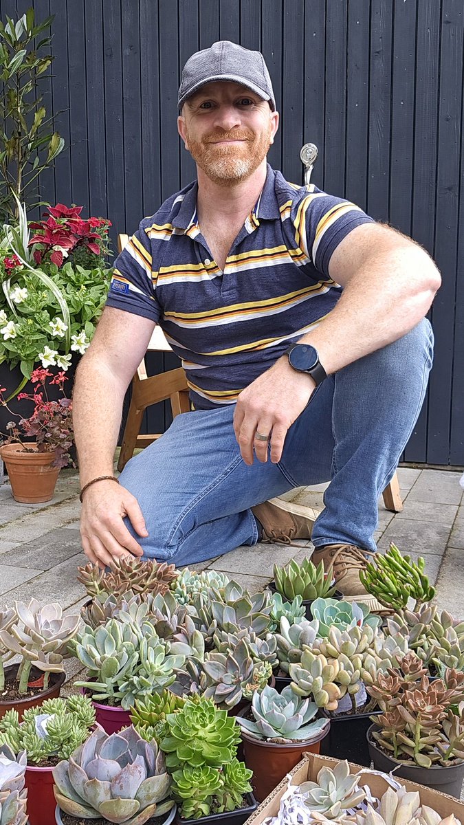 34 pots stuffed full of succulents for less than a quid each?? 
Thank you ebay!