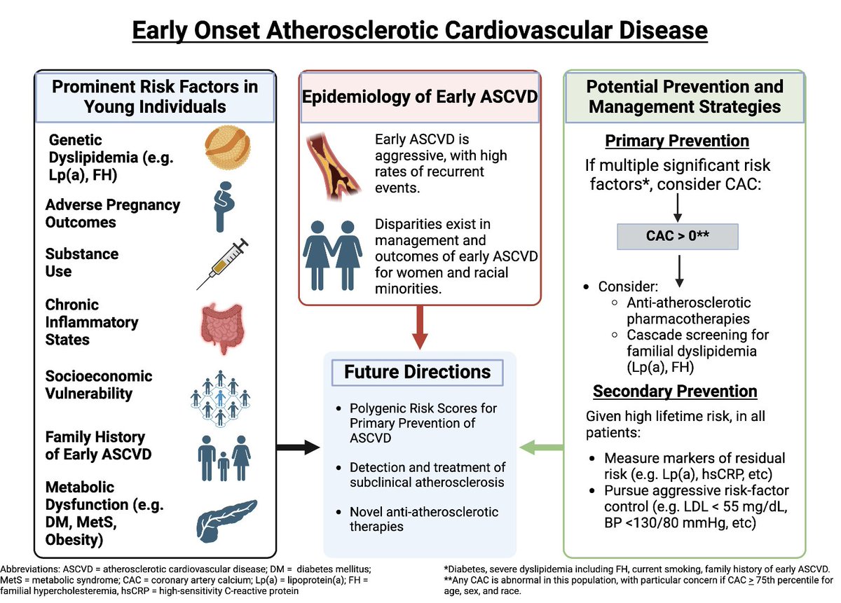 Anum Saeed (@anumsaeedmd) on Twitter photo Thrilled to collaborate on this paper on "Early Onset Athero..." with a stellar group led by Idine Mousavi and <a href="/jia_xiaoming/">Xiaoming Jia</a> and co!
🌟This review and our proposed #cvPrev strategies out now in <a href="/ESC_Journals/">European Society of Cardiology Journals</a> 👇
doi.org/10.1093/eurjpc…
<a href="/ErinMichos/">Erin D. Michos, M.D.</a> <a href="/CBallantyneMD/">Christie Ballantyne</a> <a href="/virani_md/">Salim Virani</a> Thrilled to collaborate on this paper on "Early Onset Athero..." with a stellar group led by Idine Mousavi and <a href="/jia_xiaoming/">Xiaoming Jia</a> and co!
🌟This review and our proposed #cvPrev strategies out now in <a href="/ESC_Journals/">European Society of Cardiology Journals</a> 👇
doi.org/10.1093/eurjpc…
<a href="/ErinMichos/">Erin D. Michos, M.D.</a> <a href="/CBallantyneMD/">Christie Ballantyne</a> <a href="/virani_md/">Salim Virani</a>