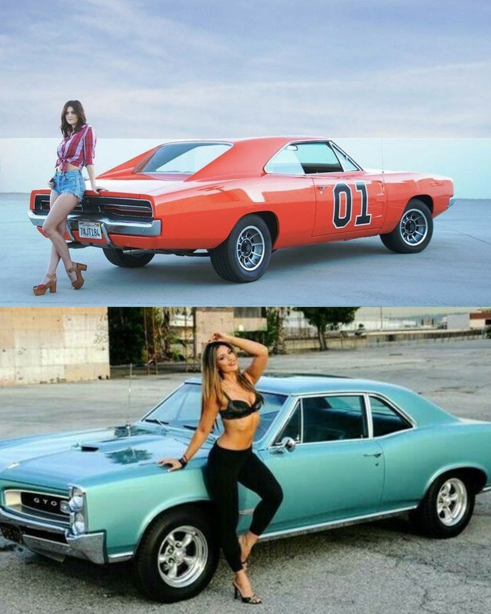 Vintage Cars Collection tweet media