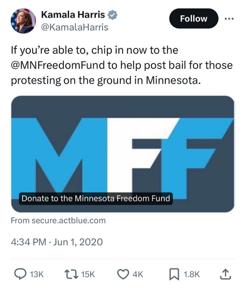 Liz_Wheeler's tweet photo. Would be a shame if this @KamalaHarris tweet encouraging people to donate to bail out dangerous BLM criminals who were torching cities &amp; assaulting cops went viral. https://t.co/WuYMhVwM54