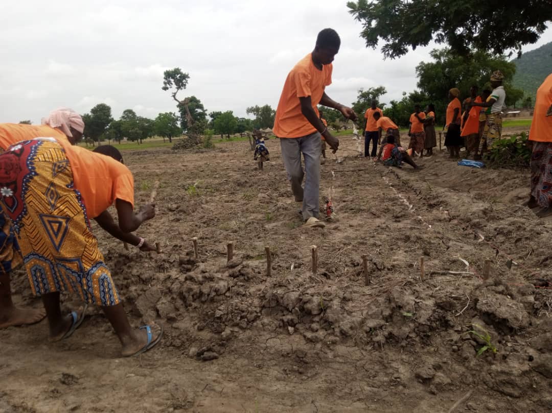 Projet PRCPR/Smart Valley
#CEDIF_ONG renforce les capacités de 02 groupements de #femmes #rizicultrices à Korontière dans la commune de #Boukombé sur la production du riz suivant l’approche #SmartValley et les techniques de Gestion durable des #terres
#OIF
#autonomisationféminine