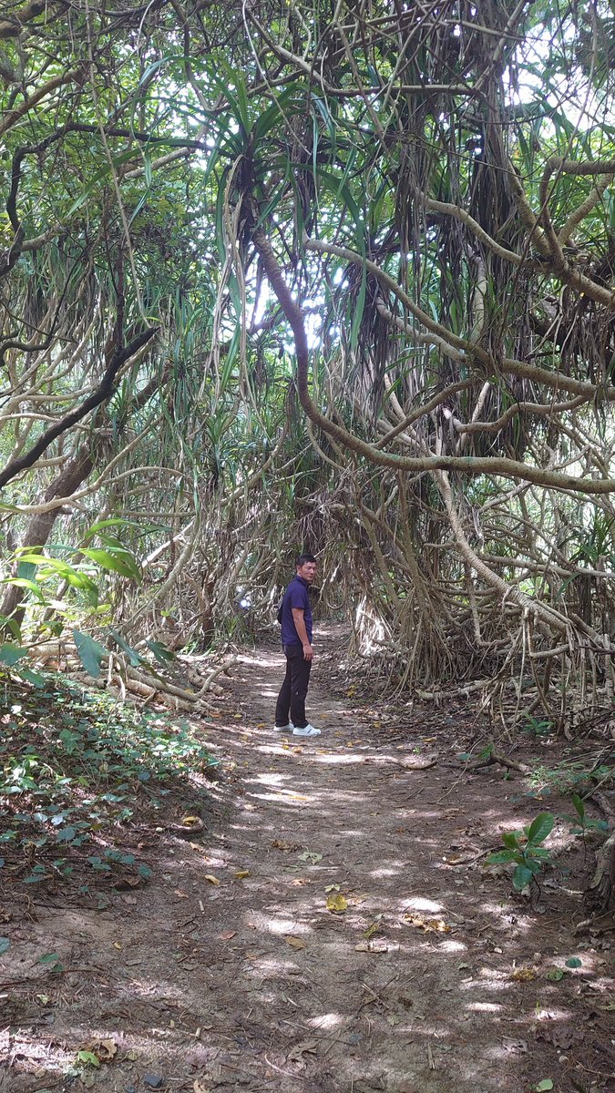 aflyjcg's tweet photo. 7,8年ぶりの奄美大島🏝 台風の影響で天候は悪かったけどめっちゃ楽しかった！ やり残したことも消化出来たしまた1歩前へ進める！ https://t.co/iCA5QoqdL6