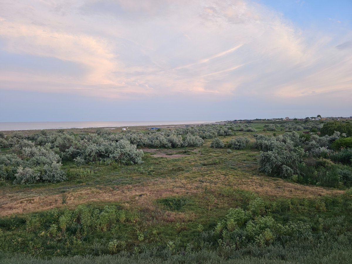 #PRO_C0ast -  Corbu beach is one of those special beaches that still harbours some natural elements, ranging from plant species that are perfectly adapted to this unique environment, to birds that use the area for breeding, feeding or resting.#Corbu #biodiversity #change