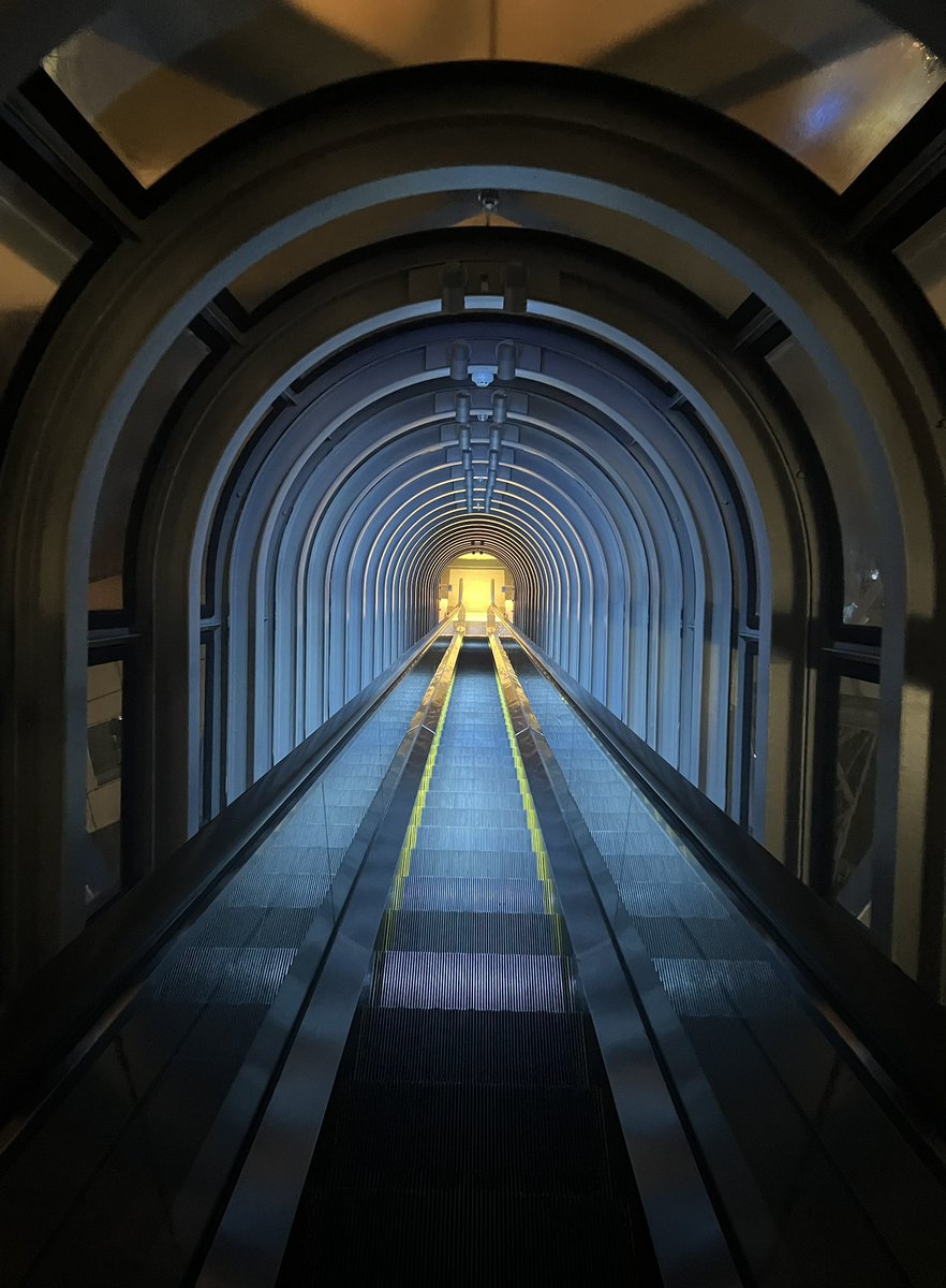 今まで撮った中でもかなり好き