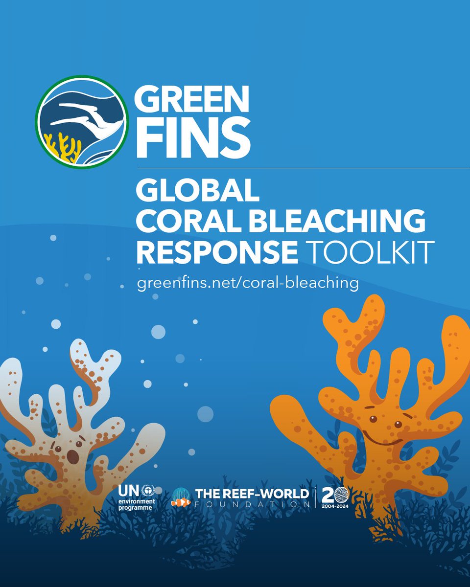 In response to the 4th global coral bleaching event, we have developed the Green Fins Global Coral Bleaching Response Toolkit. This toolkit aims to provide guidance on how the diving and snorkelling industry can help the impacts of #coralbleaching.

🪸 greenfins.net/coral-bleaching