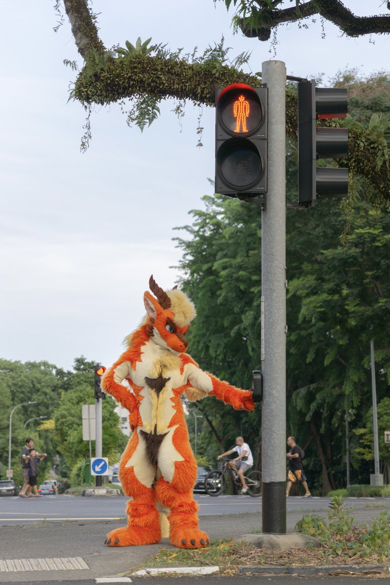 Aozora Okami ๐ UTFG,Infurnity,FURUM (@kiryu9806) on Twitter photo โTake your sweet time.โ
๐ธ = <a href="/kiryu9806/">Aozora Okami ๐ UTFG,Infurnity,FURUM</a> , ๐จ = ็ฑณ็พ
๐ฒ = <a href="/FangSladeDrum/">Fang</a> (<a href="/BusCaptainDrgn/">Anakie ๐ ??2025</a> insideโข๏ธ)
#FursuitFriday โTake your sweet time.โ
๐ธ = <a href="/kiryu9806/">Aozora Okami ๐ UTFG,Infurnity,FURUM</a> , ๐จ = ็ฑณ็พ
๐ฒ = <a href="/FangSladeDrum/">Fang</a> (<a href="/BusCaptainDrgn/">Anakie ๐ ??2025</a> insideโข๏ธ)
#FursuitFriday