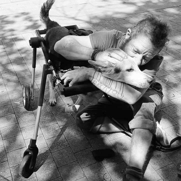 Gamelles Pleines à La Rochelle
Fenrir a reçu son chariot ce midi, en cette veille de son 1er anniversaire 
Son maître nous charge de remercier tous les donateurs grâce à qui Fenrir va gagner en autonomie 
Nous sommes très fière du travail formidable, qu ils réalisent au quotidien