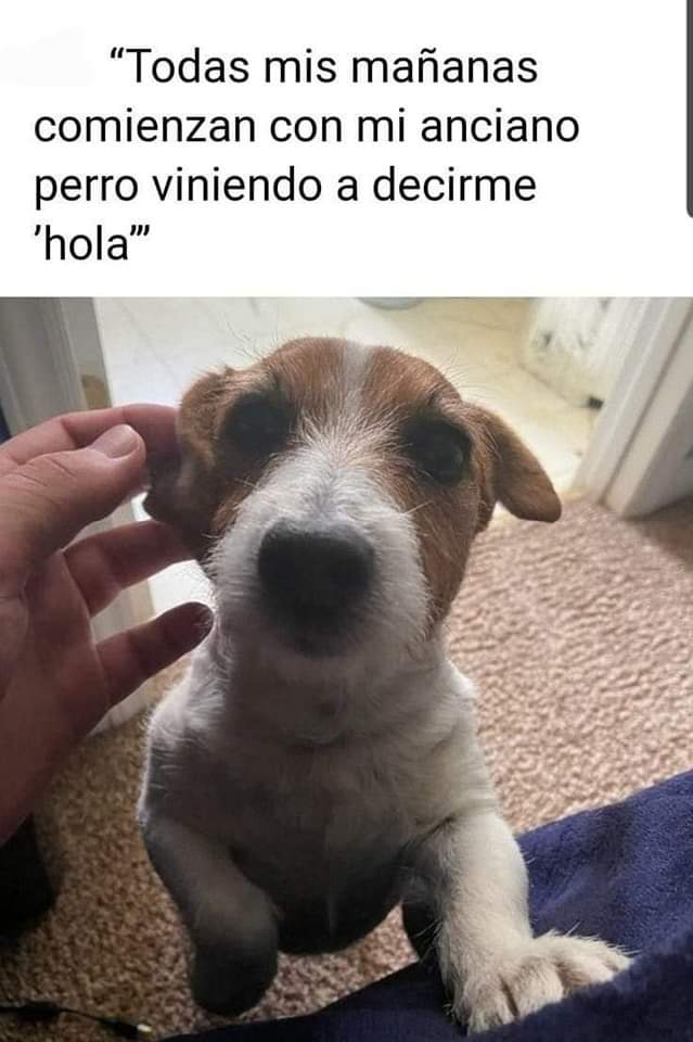 GRamirezF_D12's tweet photo. Buenos días Feliz viernes ✨💖 https://t.co/yruppd5mpX