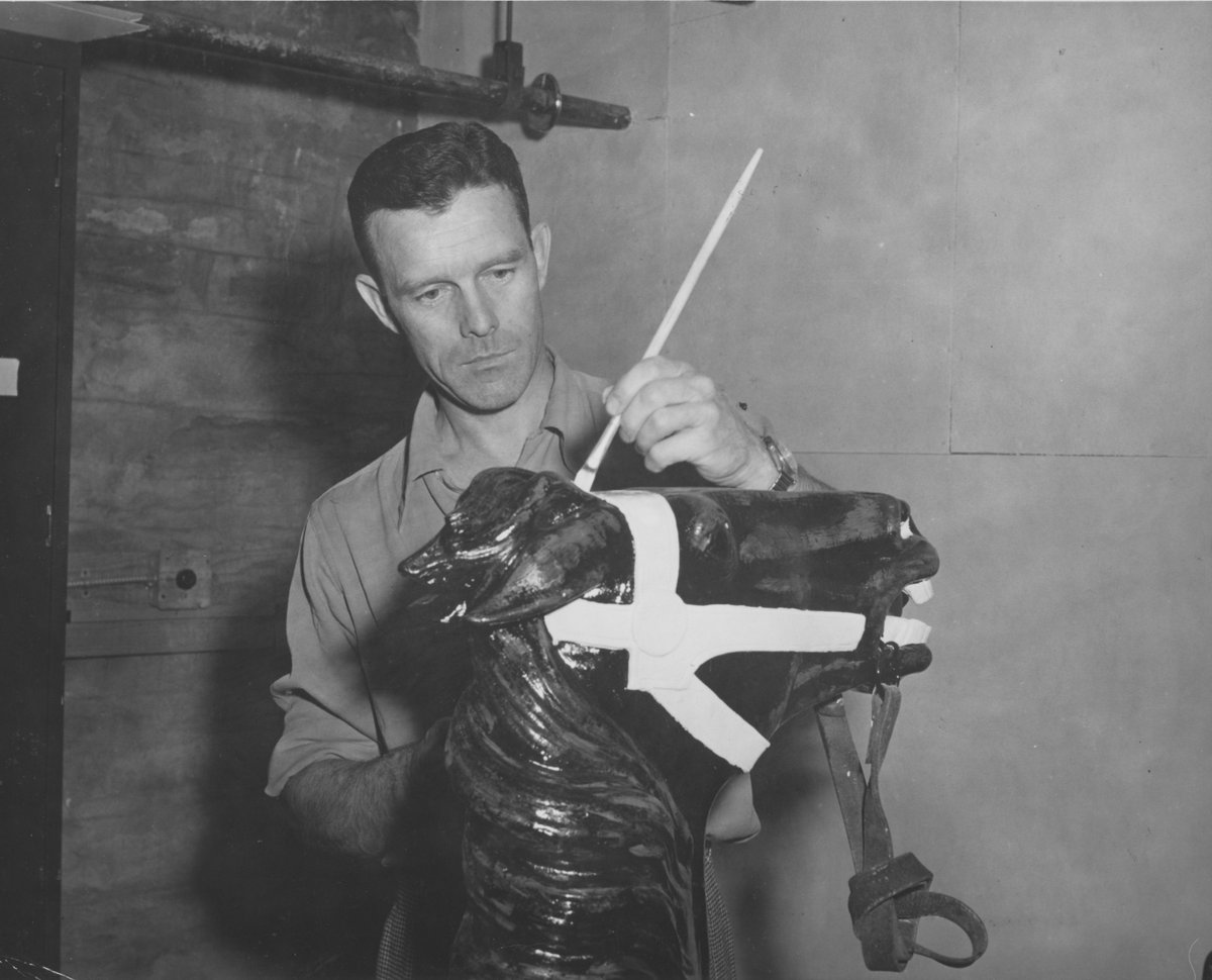 Roberson_Museum's tweet photo. The Fine Arts Society (when it was a constituent organization of Roberson Center) repainting the Herschel-manufactured horses from one of the local EJ carousels in the early 1960s. https://t.co/JDHKBAkHMz