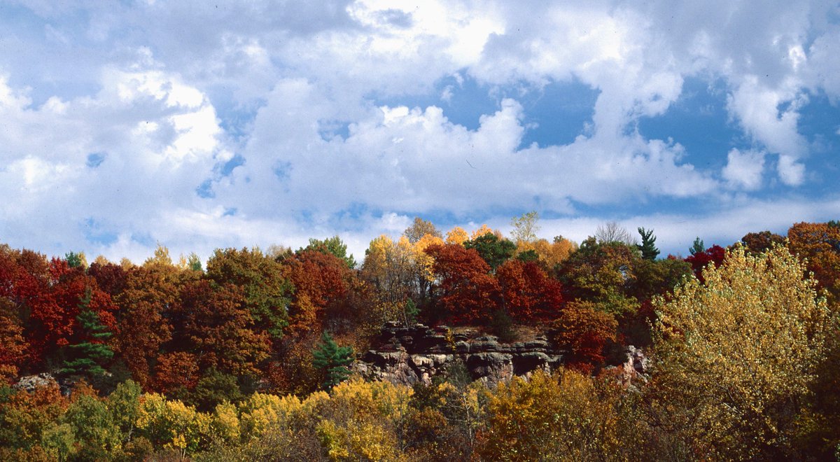 localBuddygo's tweet photo. Top 10 best hunting spots in the USA!                    

#9

🌳 Baraboo, Wisconsin 🌳

Who knew Baraboo was a hunter's paradise? Chase after the elusive pheasants and turkeys in the rolling farmlands of Wisconsin. The varied landscape of fields, forests, and wetlands provides diverse hunting opportunities. Baraboo’s close-knit community and charming downtown make it a delightful place to visit. Local Buddy’s got your back to make this Midwest hunt a hit! 🦃

Baraboo is the original home of the Ringling Brothers Circus, and you can explore its fascinating circus history at the Circus World Museum. #Pheasant #WisconsinWild #LocalBuddy #travel #hunting