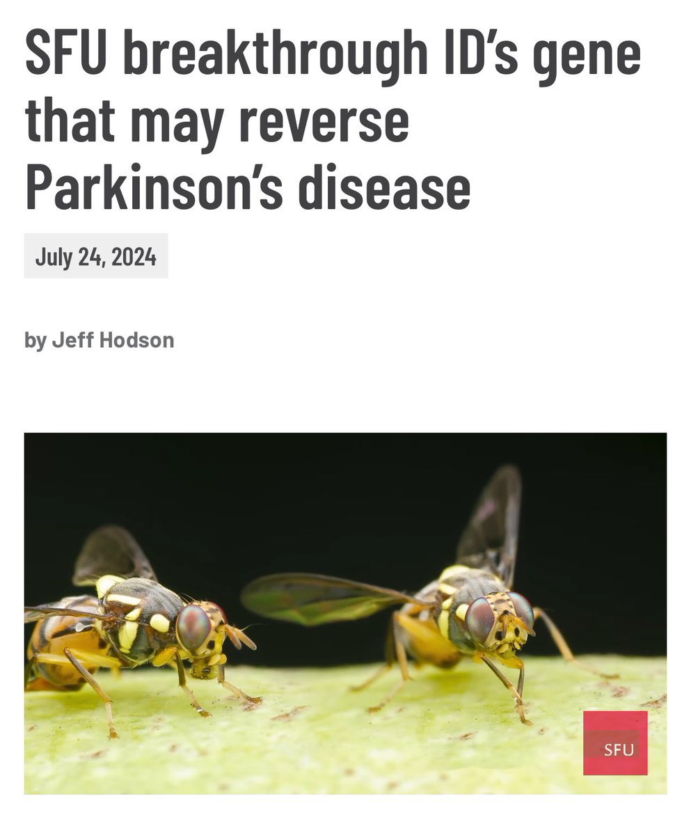 erwinloh's tweet photo. Researchers have identified a #gene that appears to reverse #Parkinsonsdisease symptoms in fruit flies. They discovered that increasing the amount of the fruit fly #Cdk8 gene in flies with #Parkinson’s causes the disease’s symptoms to reverse.
https://t.co/kwfwbazSKZ https://t.co/p92nVoOgl3