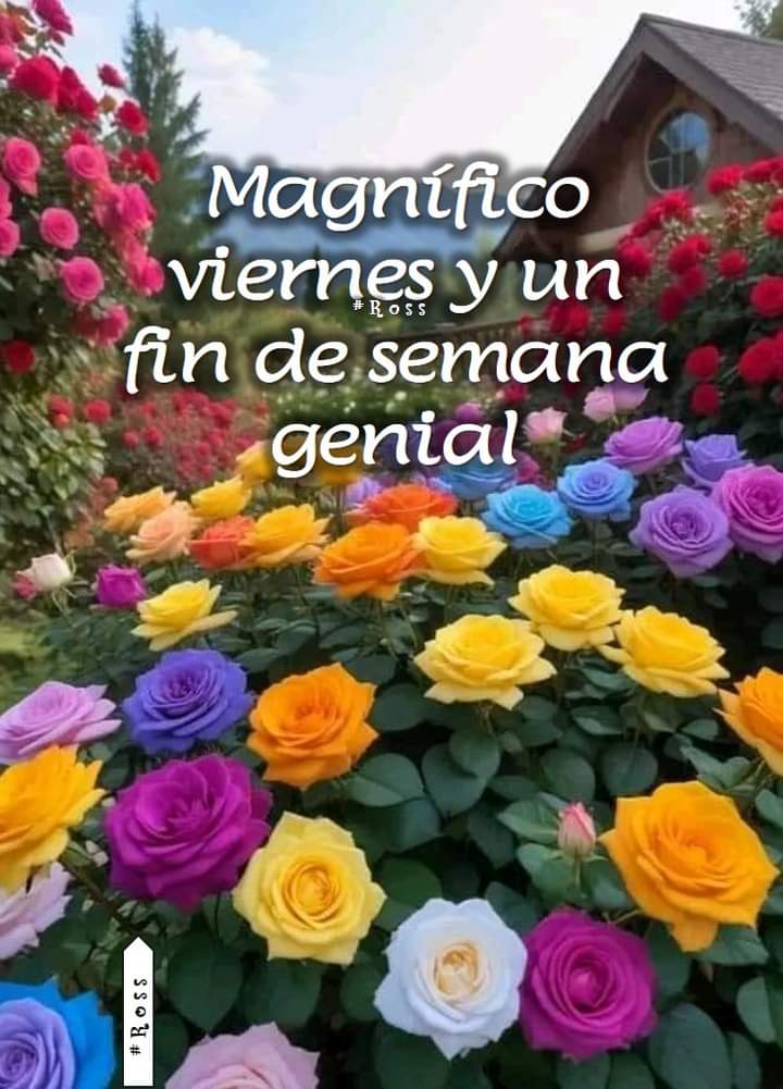 🌻🦋🌻