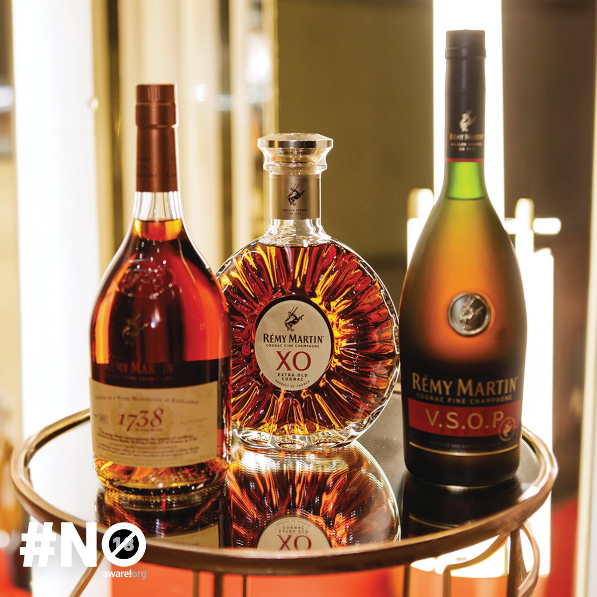 Founded in 1724, Rémy Martin produces Cognac Fine Champagne, an exceptional blend of eaux-de-vie from the Grande Champagne and Petite Champagne regions, making it the epitome of cognac luxury.
#RemyMartinSA
#TeamUpForExcellence