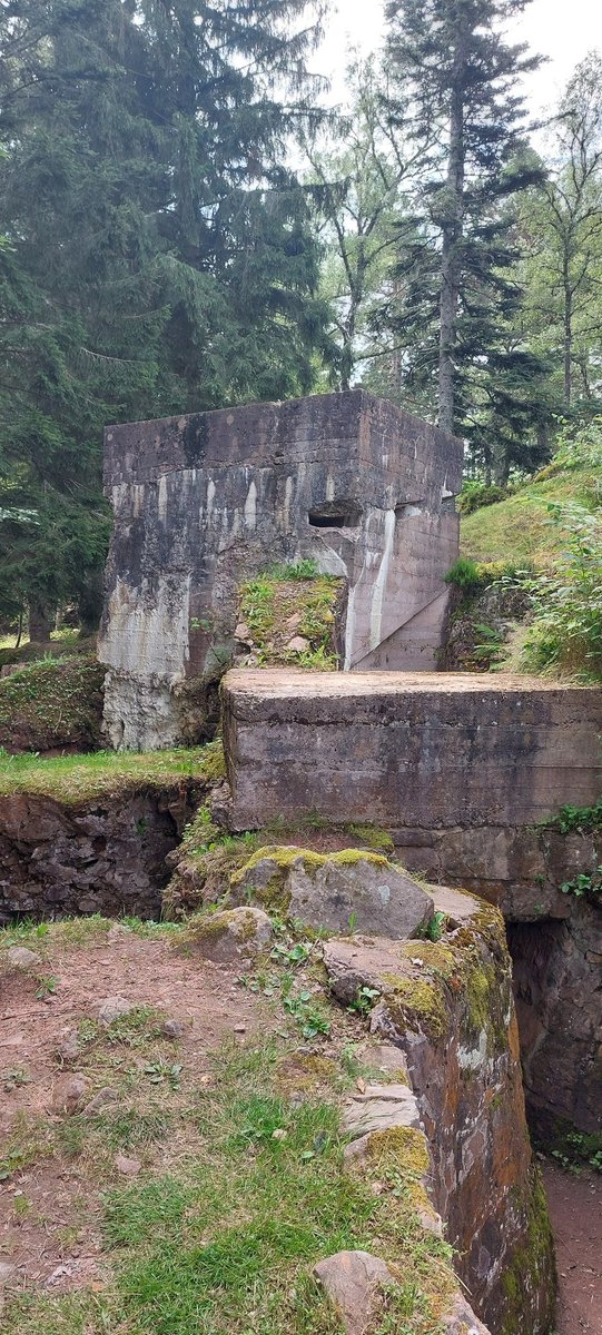 ScheepjesS's tweet image. Bizar om voor te stellen dat de Fransen dan 30 meter verderop zaten in hun eigen loopgraven. Al is daar niet meer veel van over aangezien die loopgraven snel werden gebouwd en grotendeels uit hout en zandzakken bestonden. #ww1 #Loopgraven #Frankrijk