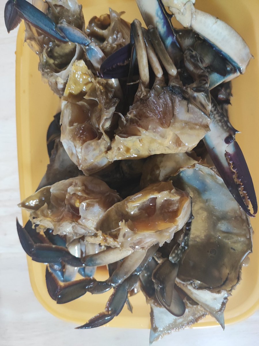 kyotonoDIYER's tweet photo. ワタリガニを漬け込んでカンジャンケジャンを作りました！

お店だと1匹でいくらか知っていますか？けっこう高級料理みたいです(^^) https://t.co/sF8pBOOyzl