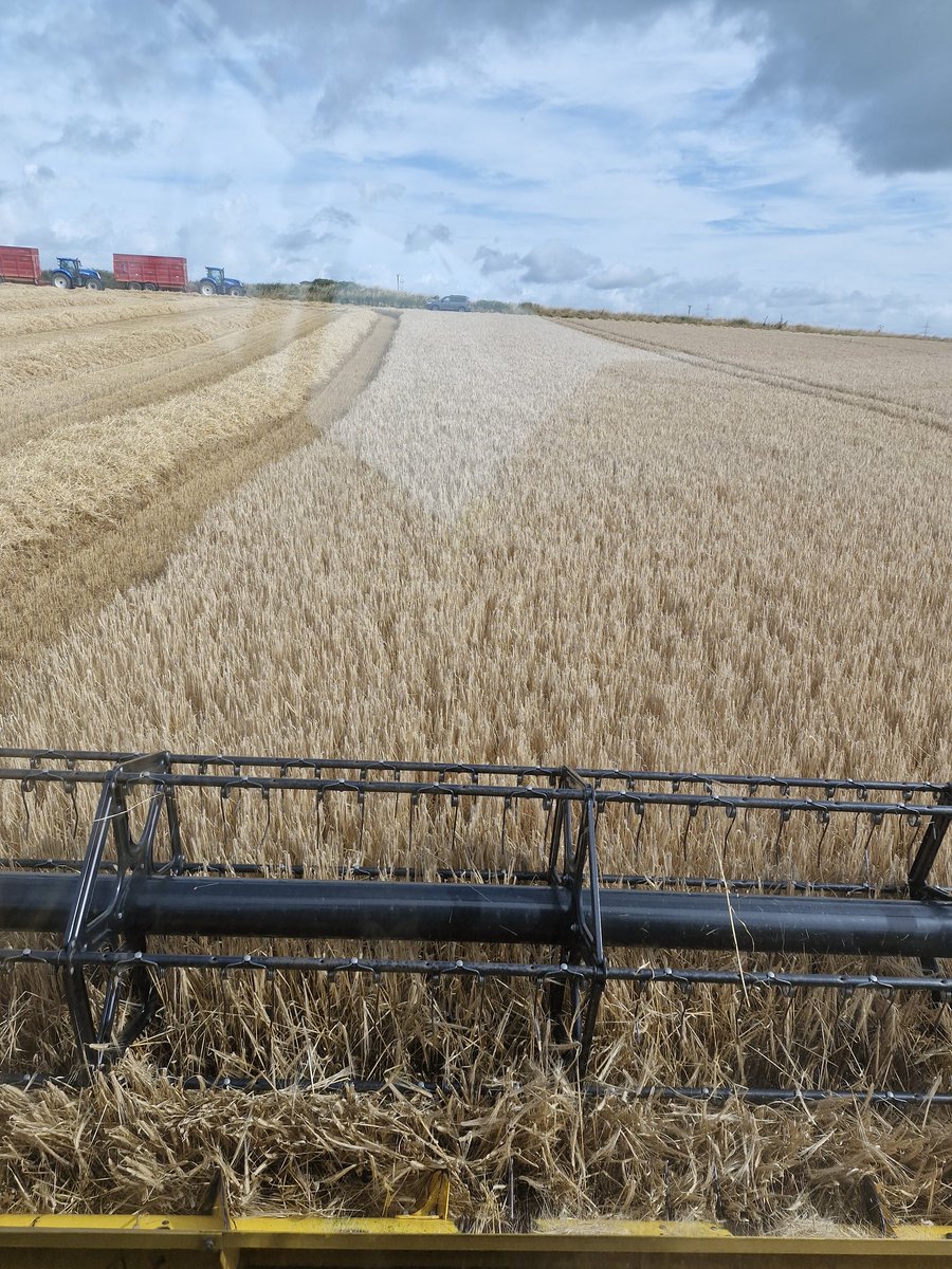 Bobby Mc Carthy tweet media