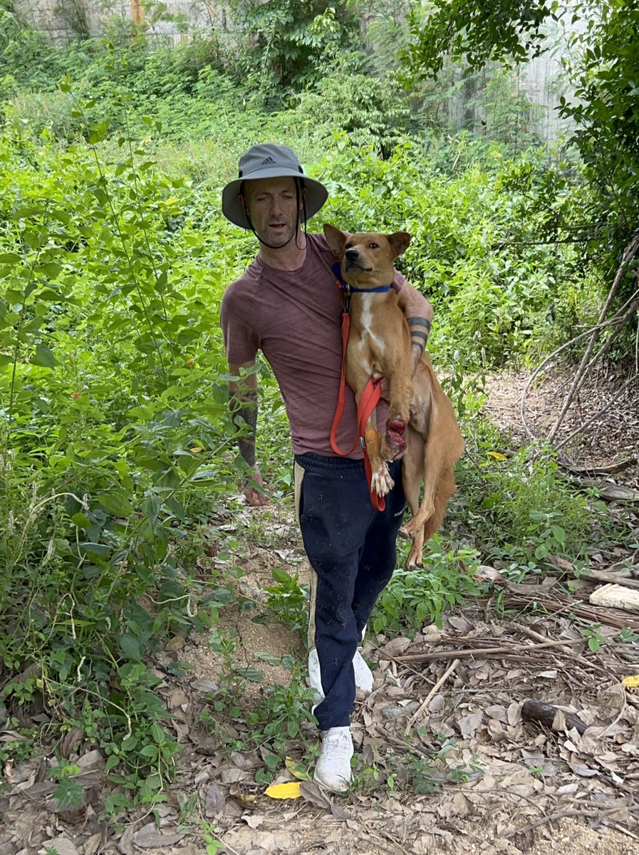 NiallHarbison's tweet photo. 48 hours ago I pulled Leo Messi out of the jungle with his leg barely hanging on. 

Save to say things are really looking up for him. His improvement in just 2 days will fill your heart full of joy… (1/5) 🧵 https://t.co/6yQSbb44jZ