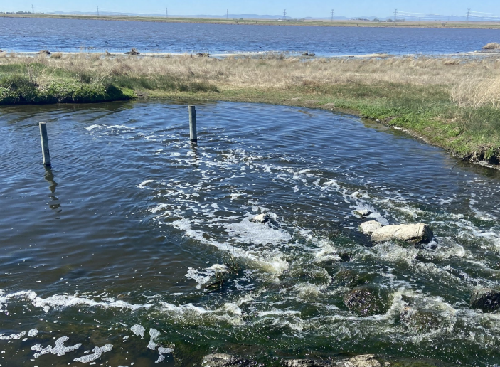 Canadian Water Resources Association tweet media