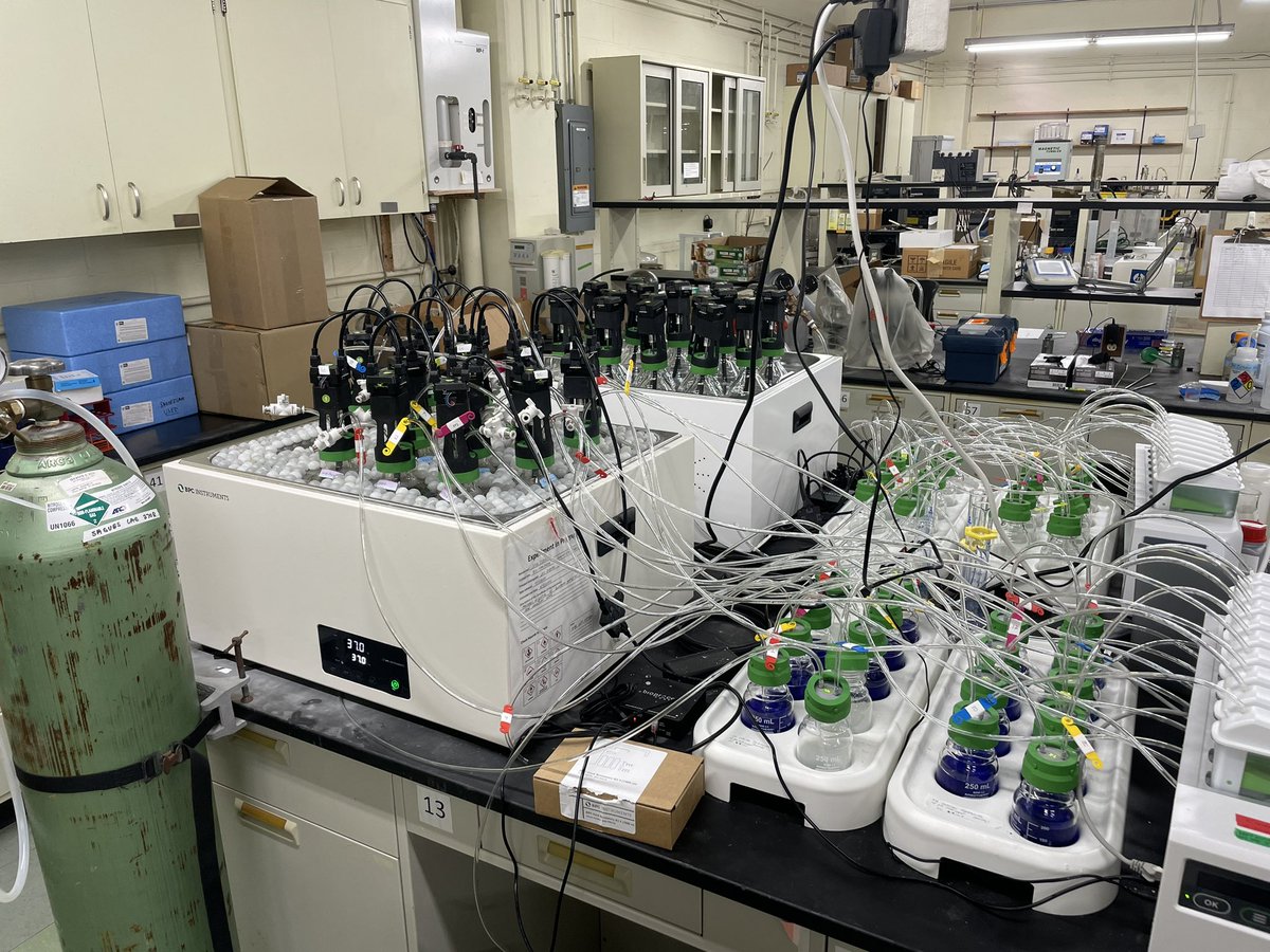 Joe Sagues tweet media