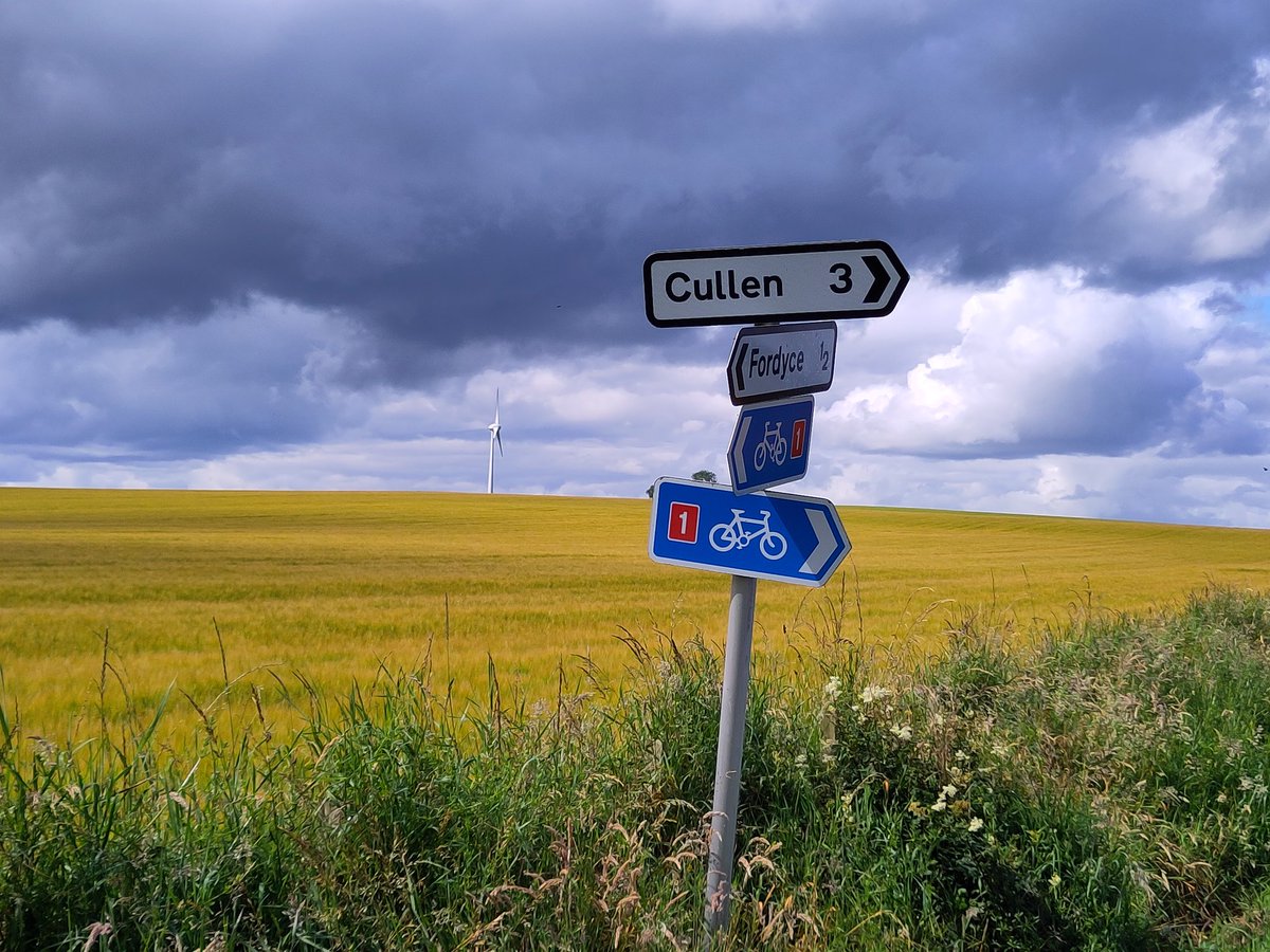 The Offcomers tweet media