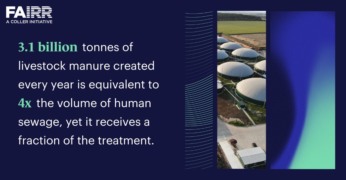 Nutrient #pollution is driving #biodiversity loss and affecting global water quality 💧

It is essential that agrochemical companies and animal protein producers address nutrient losses from animal waste, manure, and fertiliser use.