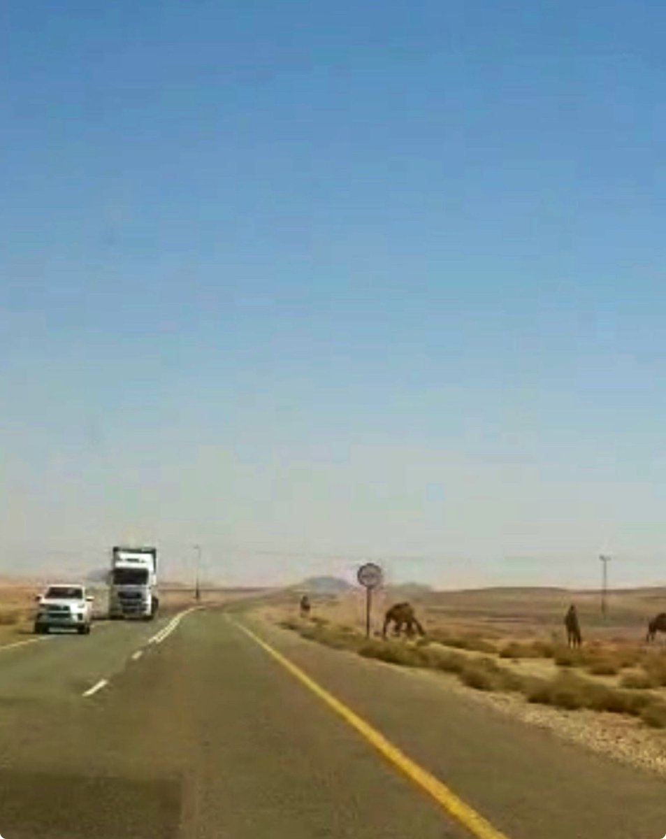 أ.د مساعد الجخيدب tweet media