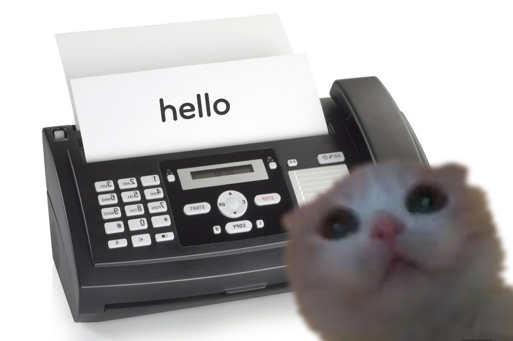 $hello tweet media