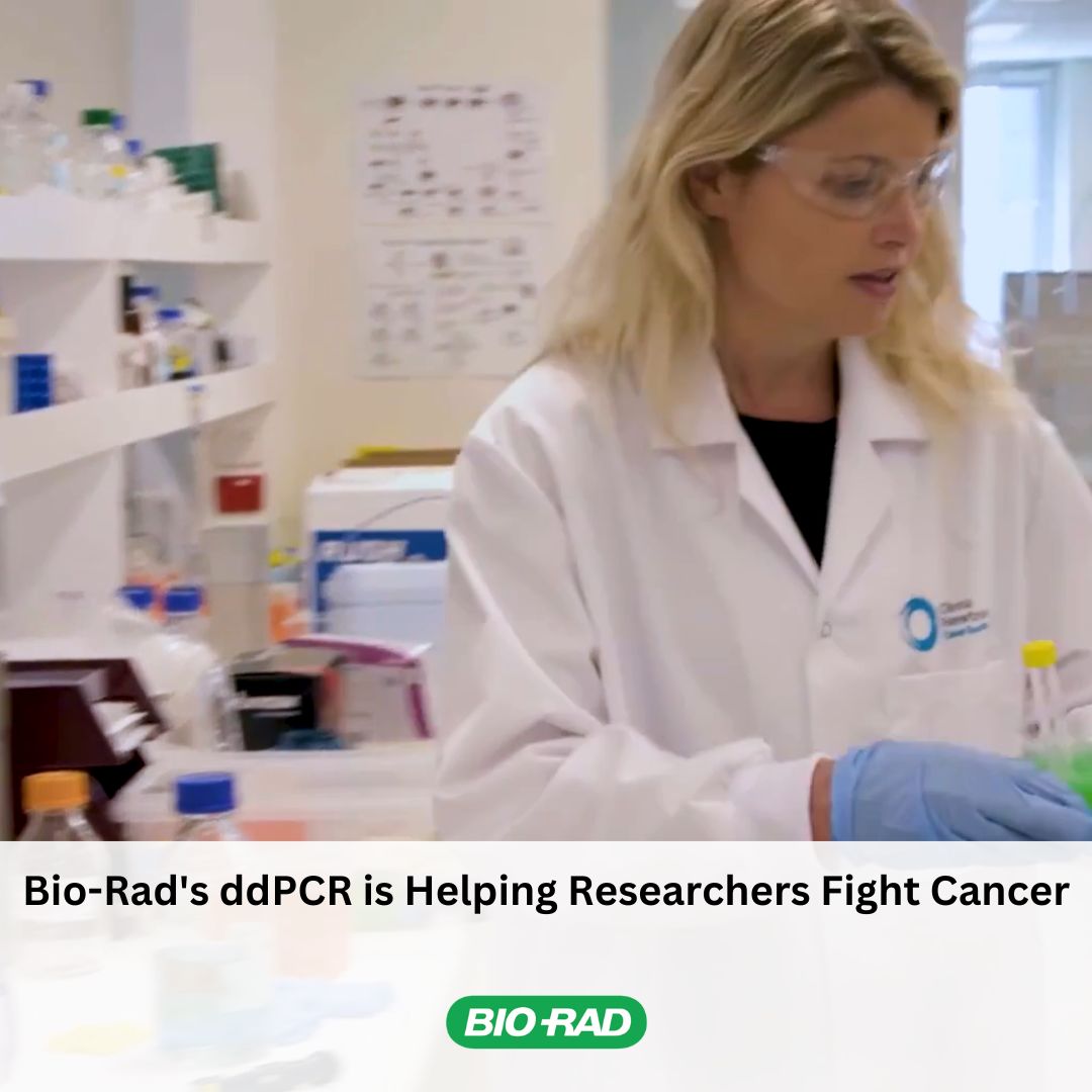 What's it really like at Bio-Rad? Here's the scoop: careers.bio-rad.com/blogs/bio-rad-…

Check out our #LifeAtBioRad blog to meet our team members, see what we've been up to recently, and learn more about the culture at Bio-Rad.

#EmpoweredByPurpose #Hiring